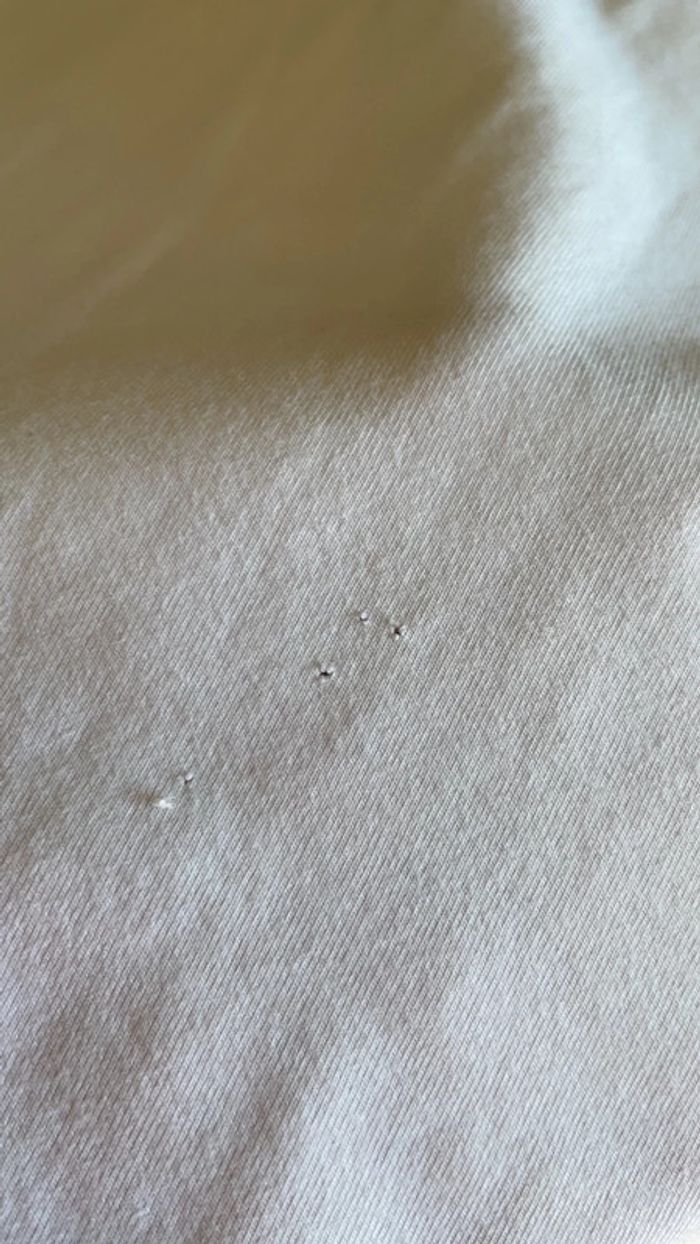 Tee shirt lili sidonio Molly bracken - photo numéro 7