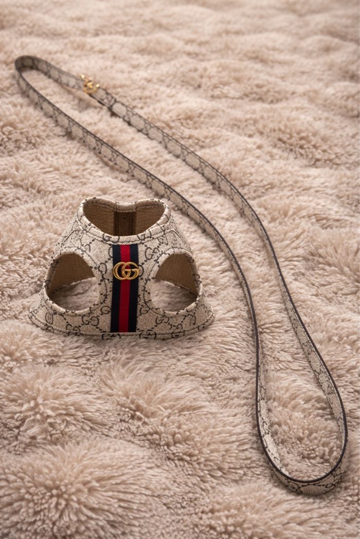 Harnais et laisse - photo numéro 2