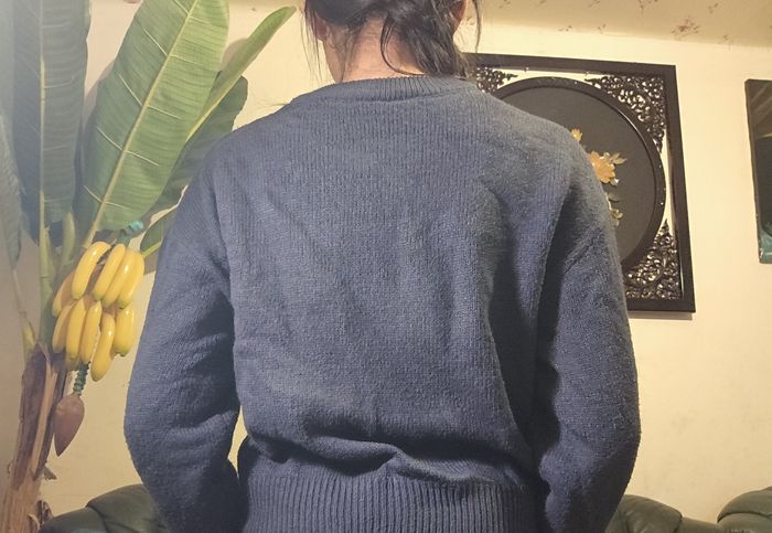 Pull - photo numéro 2