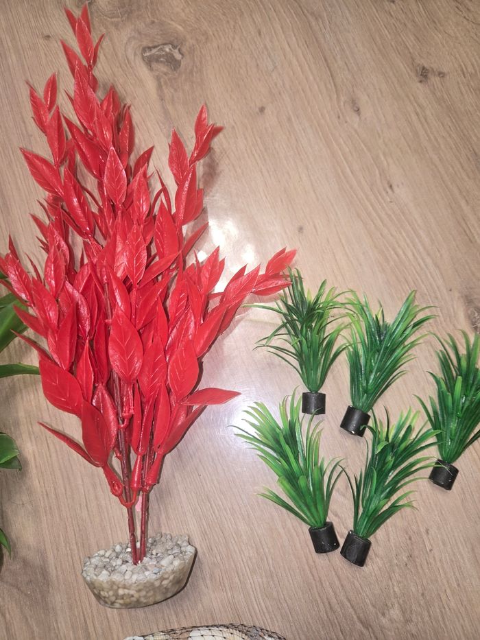 Lot pour aquarium neuf emballé - photo numéro 7