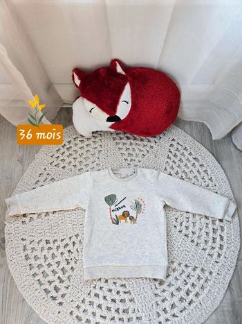Boy: sweat TAO lion 36 mois