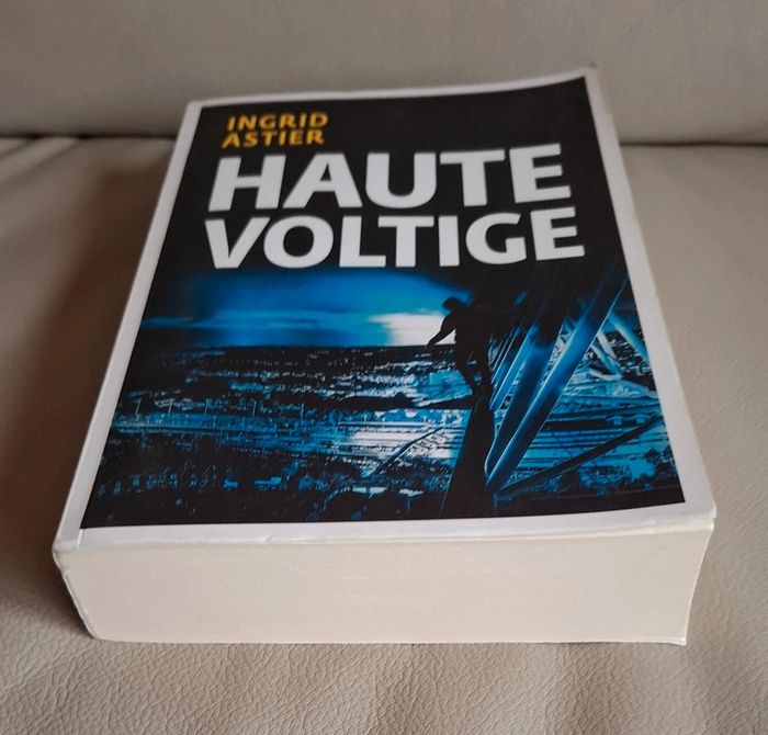 Roman Haute Voltige Ingrid Astier - photo numéro 4