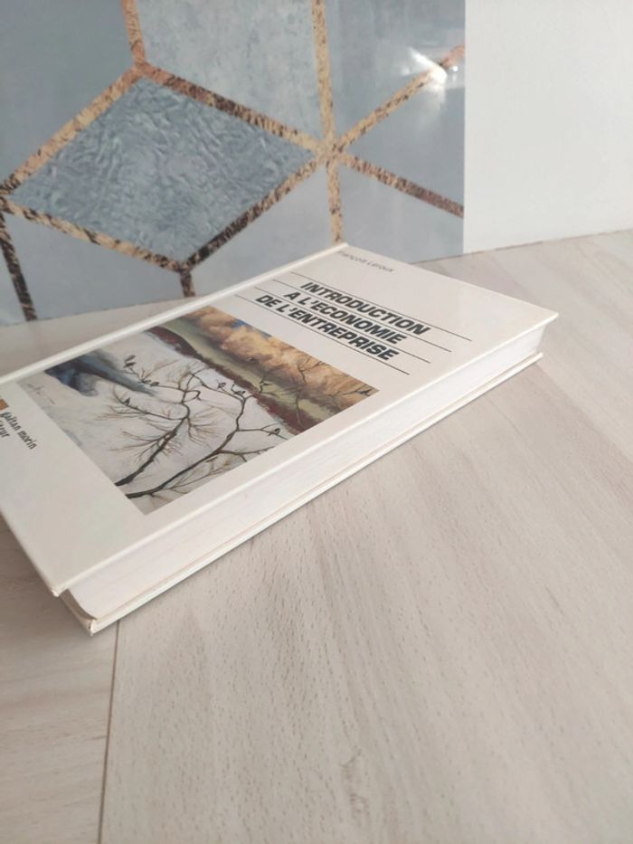 Livre grand format introduction économie entreprise Leroux - photo numéro 3