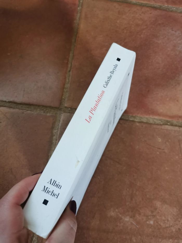 La Plantation, roman de Calixthe Beyala - photo numéro 5