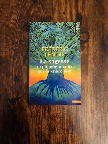 Livre : La sagesse expliquée a ceux qui la cherchent