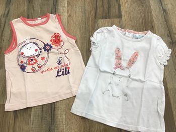 Lot 2 tee-shirts 24 mois