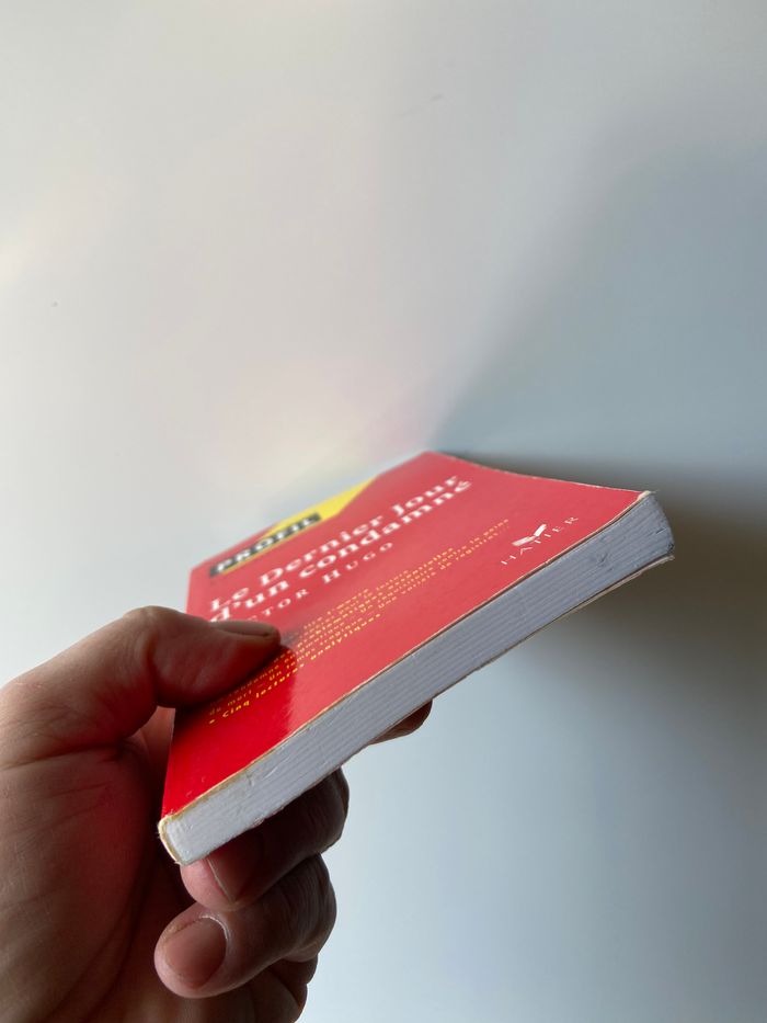 Le dernier jour d’un condamné victor hugo - photo numéro 5