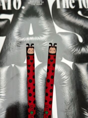 2 stylos coccinelles