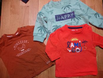 1 pull et 2 tee shirt manches longues