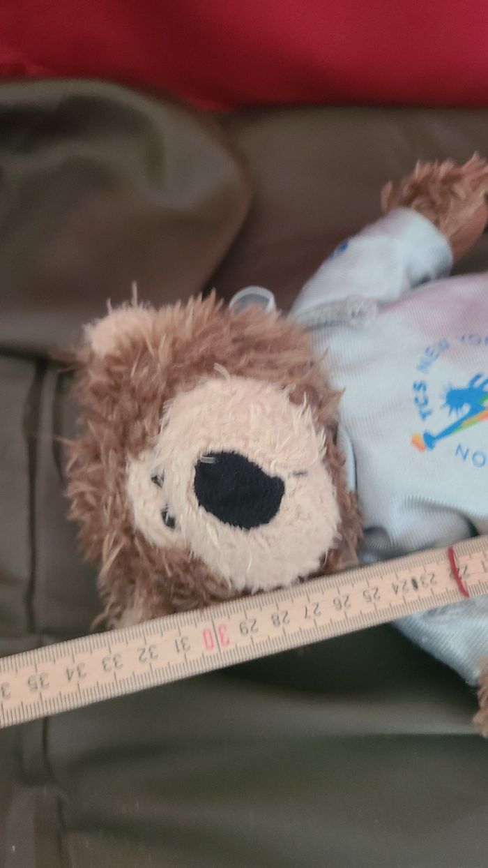 peluche ours tee shirt marathon TCS new york - photo numéro 2