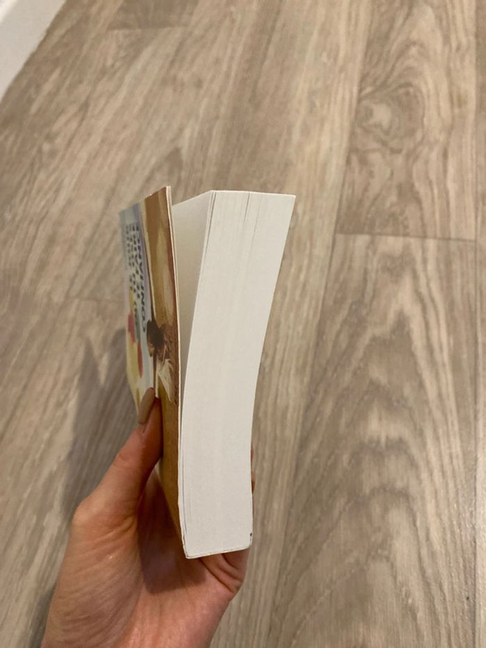 Roman coach - photo numéro 5