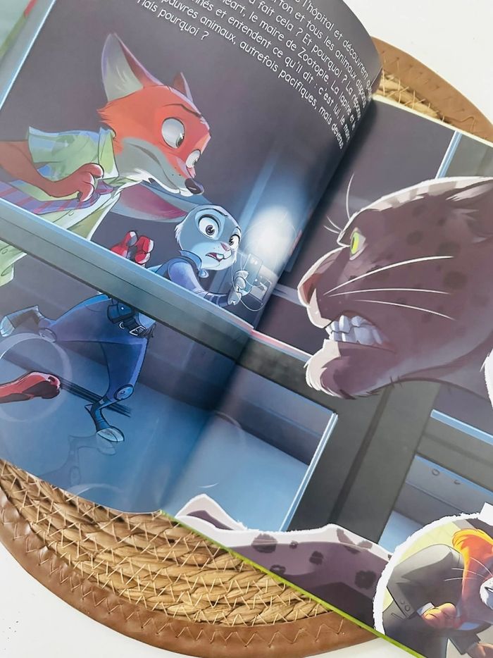 Livre Disney - photo numéro 3