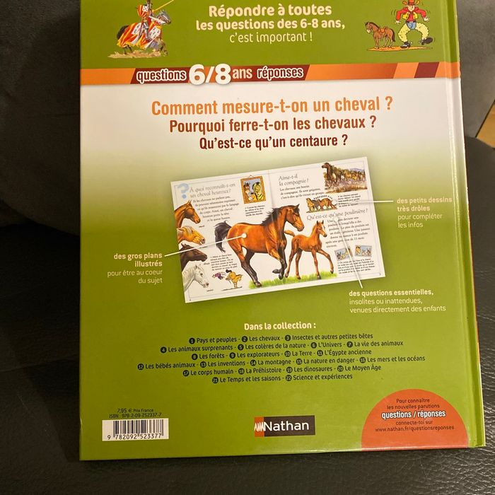 Les chevaux - photo numéro 2