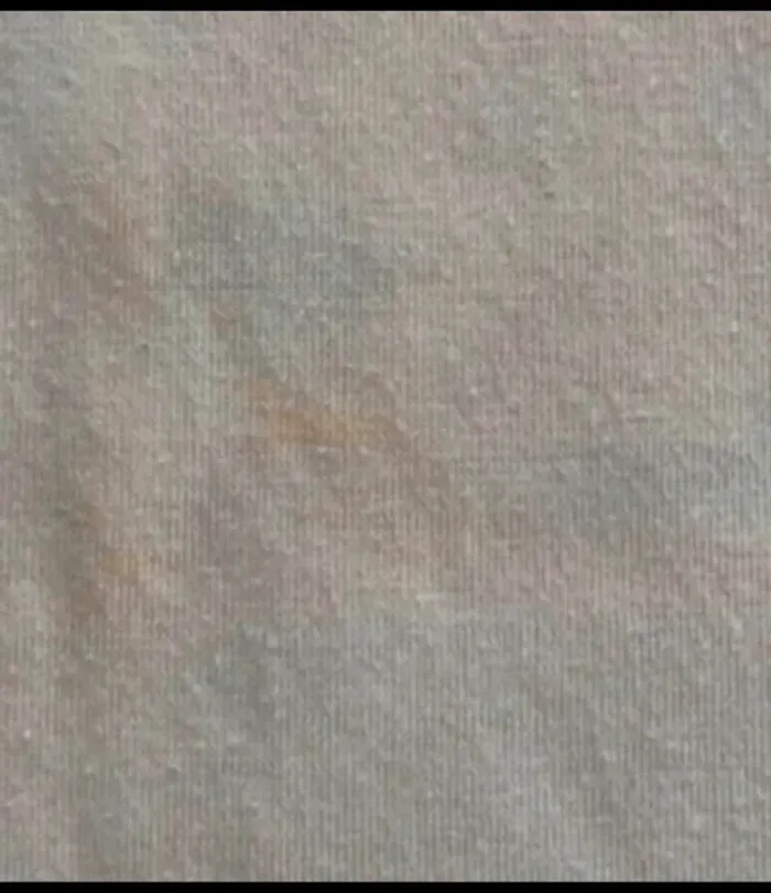 Tee-shirt - photo numéro 6