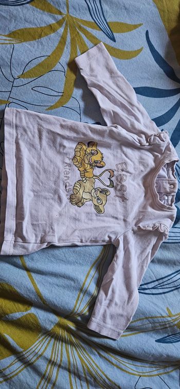 Tee shirt roi lion