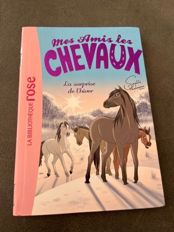 Livre bibliothèque rose mes amis les chevaux tome 7