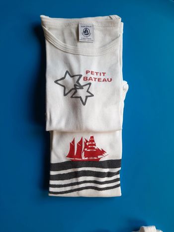 Lot 2 t-shirts Petit bateau taille 4 ans ou 104 cm