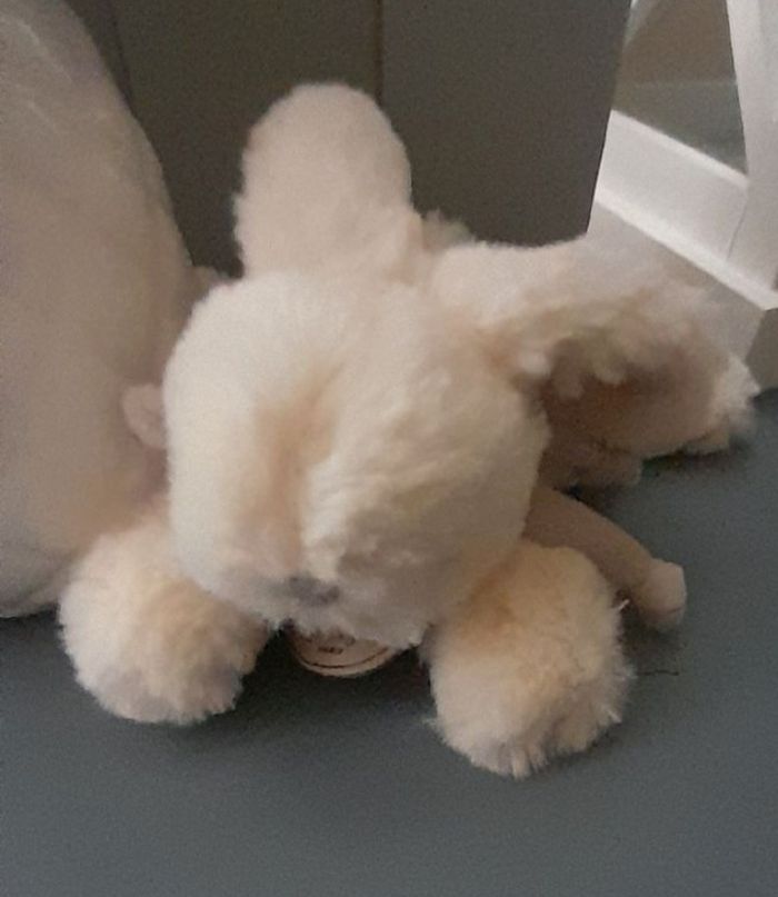 Lapin bonbon Doudou et compagnie - photo numéro 3