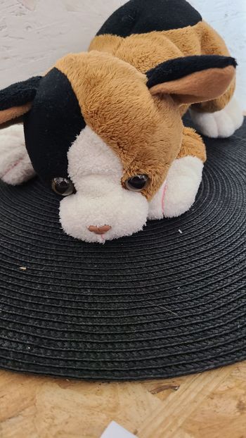 doudou chat tricolore