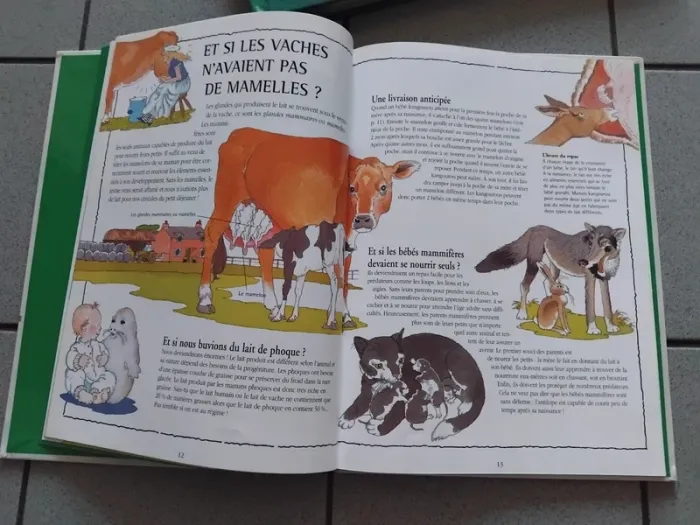 Livre puzzle - photo numéro 2
