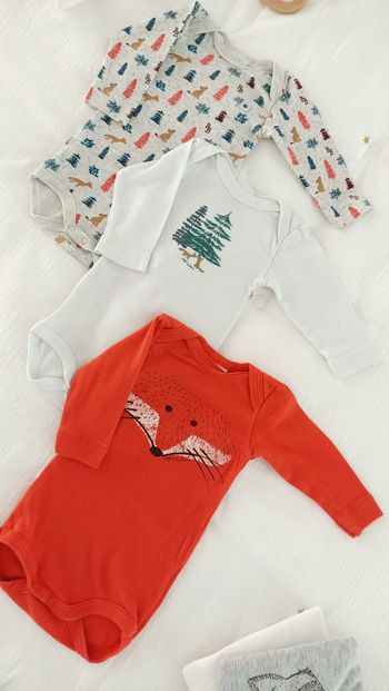 Lot de 3 bodys 3 mois petit bateau