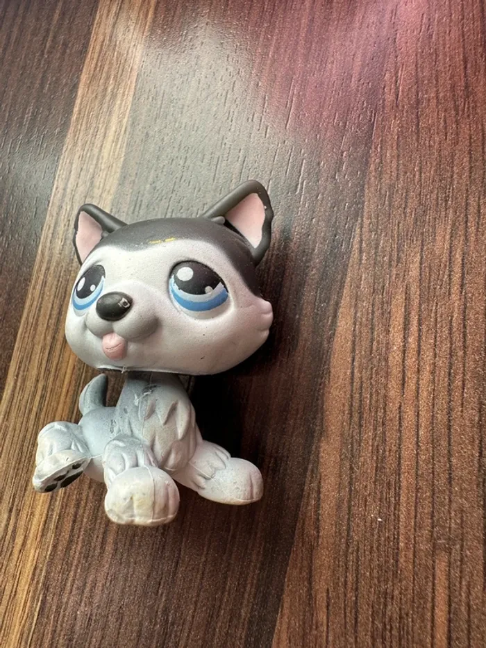 Petshop husky - photo numéro 3