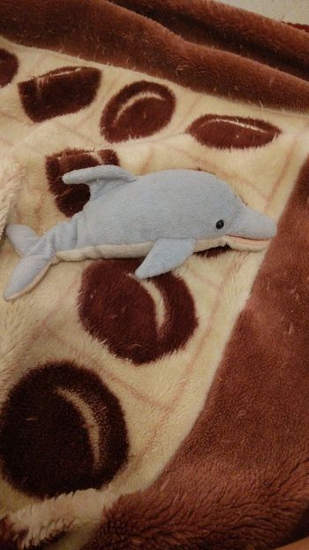 Peluche