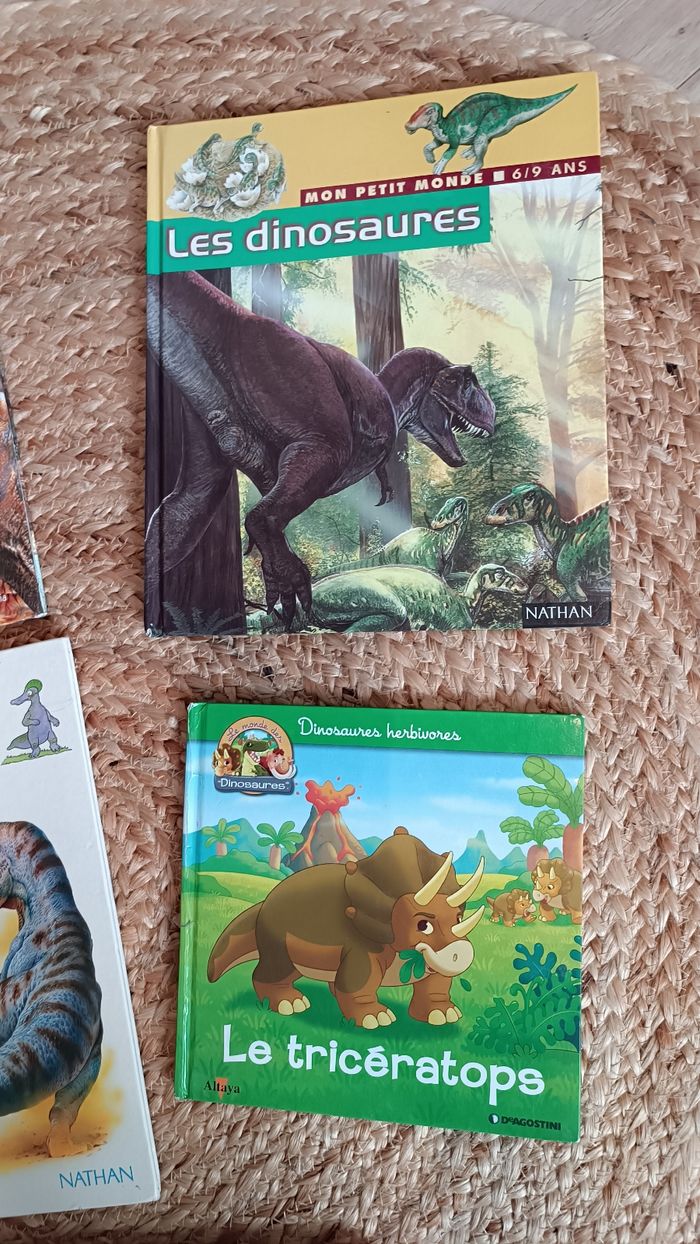 Lot de livres éducatifs sur les dinosaures - photo numéro 3