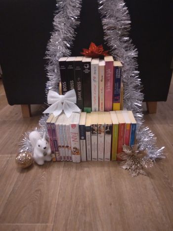 Calendrier de l'avent livresque (24 livres)