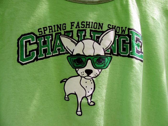 Pyjama chihuahua - photo numéro 2