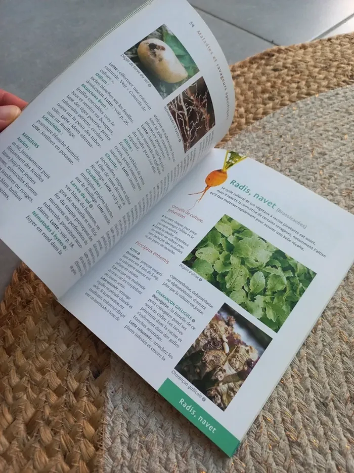 📖 Soigner les légumes reconnaître et soigner les maladies et ravageurs - photo numéro 5