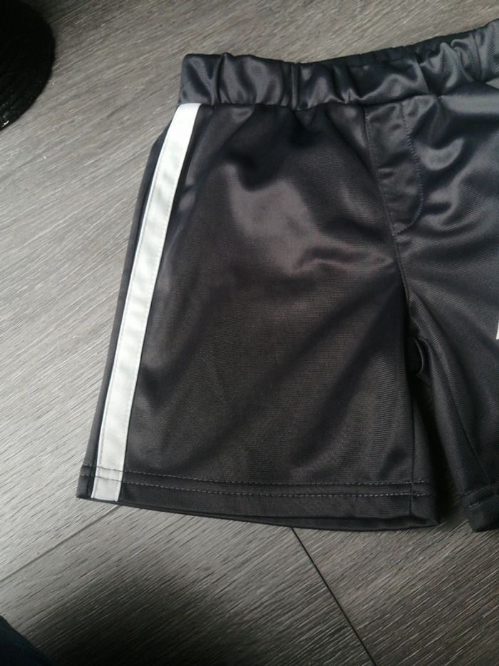 Short fin 8A - photo numéro 2