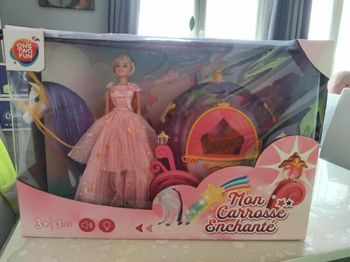 Mon carrosse enchanté