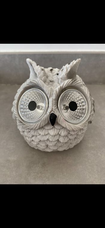 Joli Hibou solaire