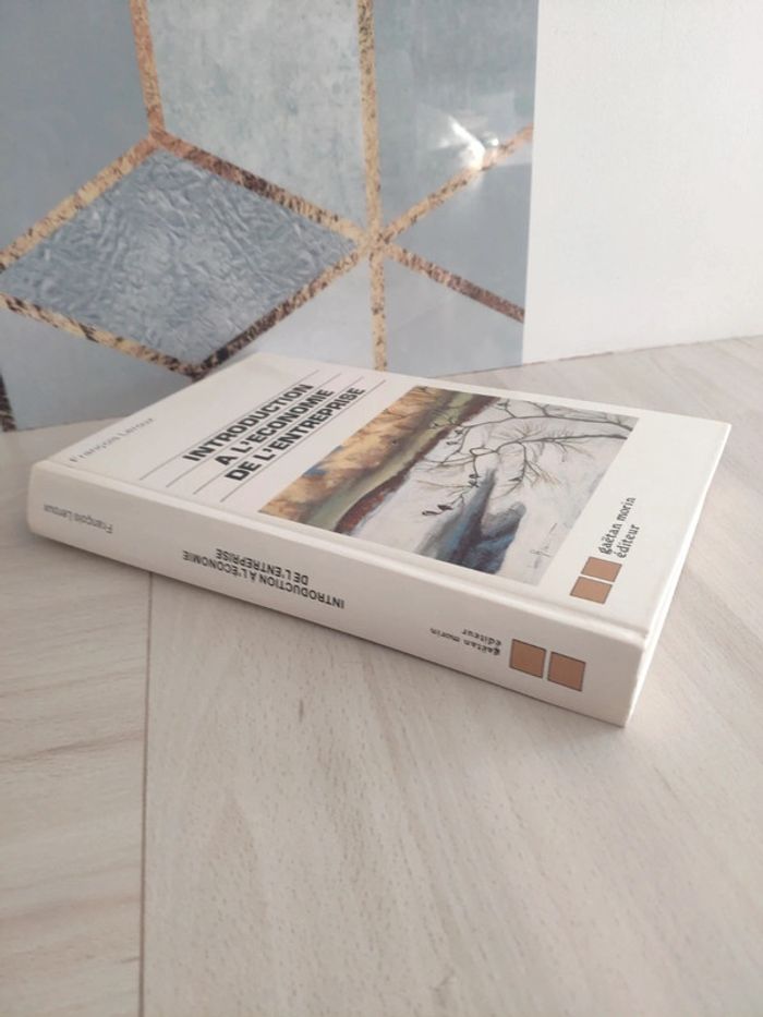 Livre grand format introduction économie entreprise Leroux - photo numéro 4