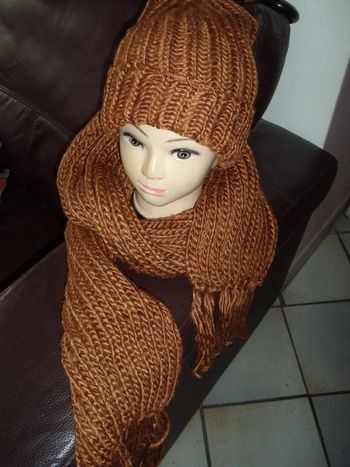 ensembe bonnet + écharpe NEUF