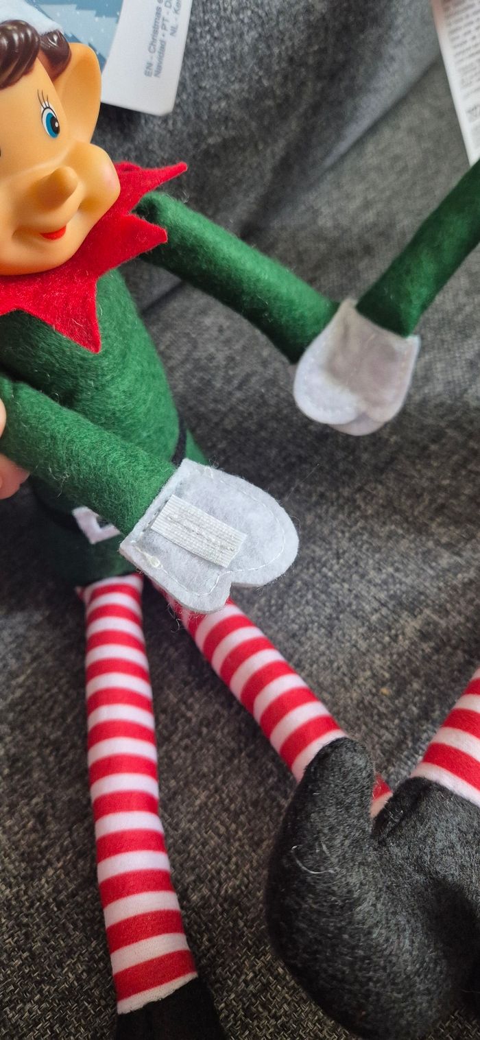 Lutin farceur - photo numéro 4