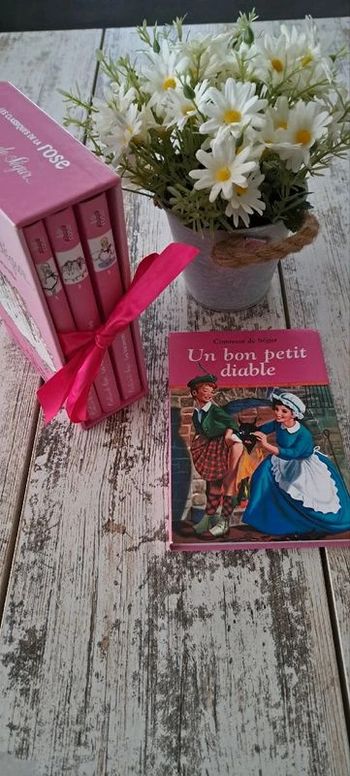 Lot coffret 4 livres la comtesse de segur