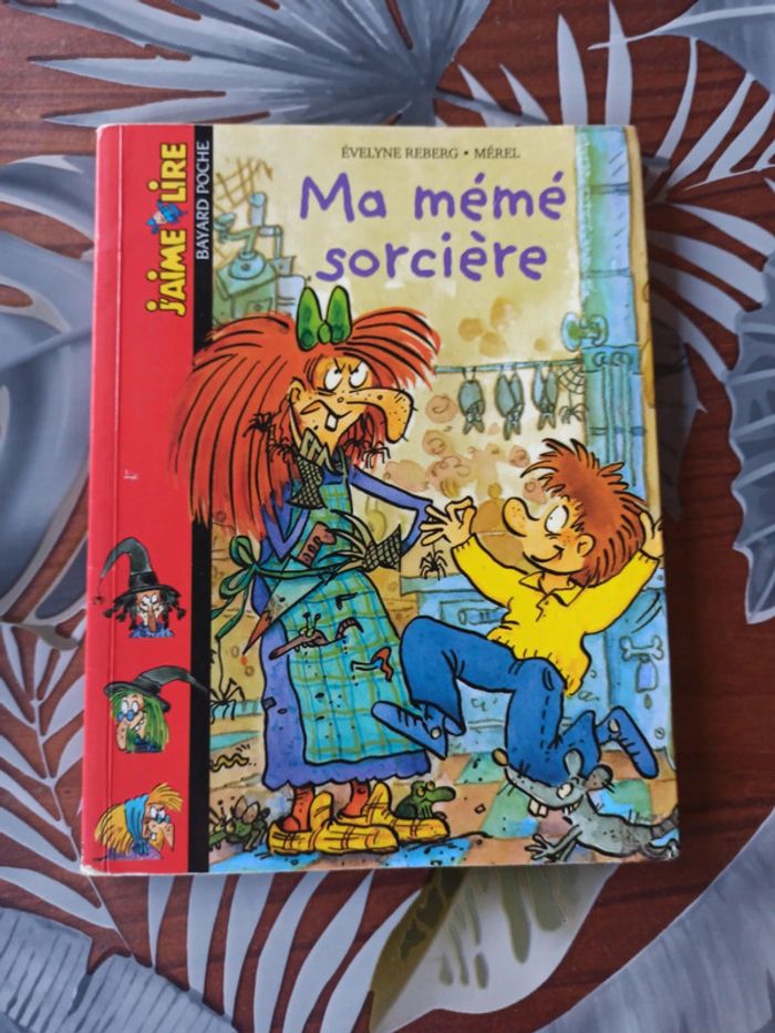 Livre ma même sorcière
