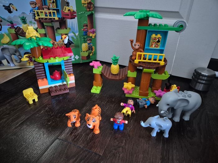 Foret tropicale jungle duplo