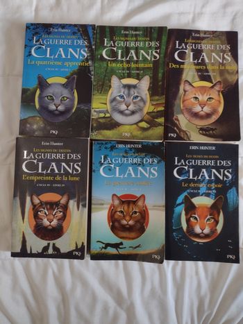 La guerre des clans cycle 4