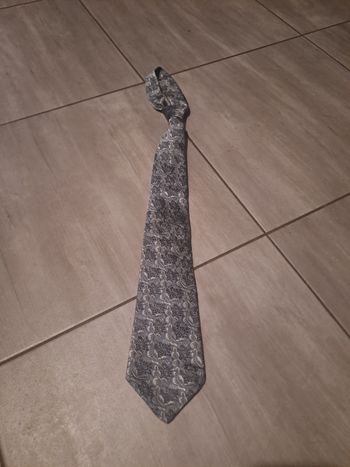 Cravate Gris Brillante Raoul Dufy pour Bianchini Férier