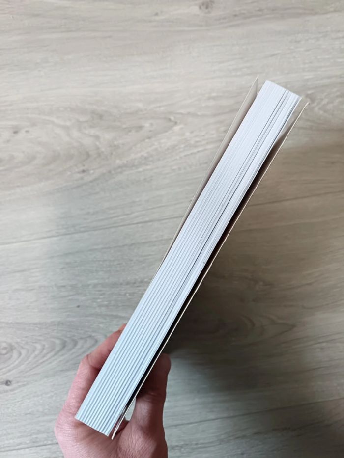 Au pays du hêtre Des hommes, une histoire - D'Illizfaou à Illifaut Vincent Le Maire - photo numéro 5