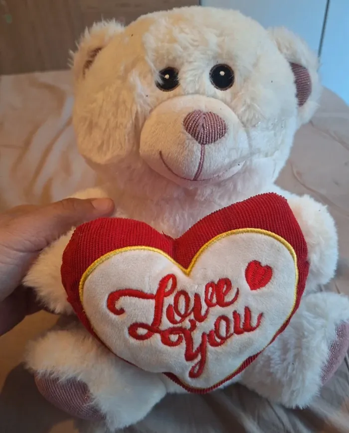 🎀 peluche ours 🎀