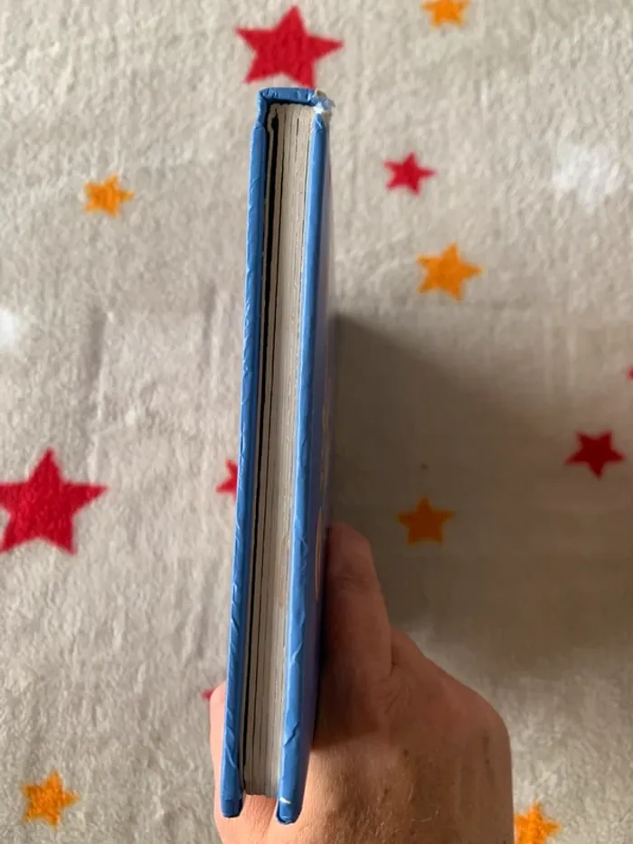 Livre T’choupi aime papa – Nathan – très bon état - photo numéro 4