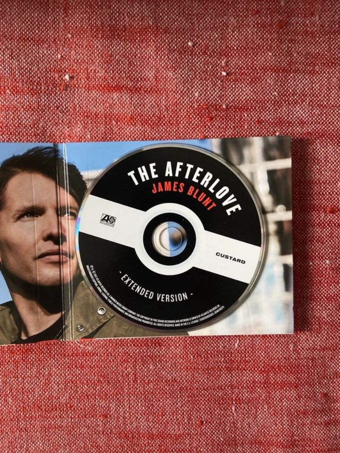 James Blunt The Afterlove - photo numéro 2