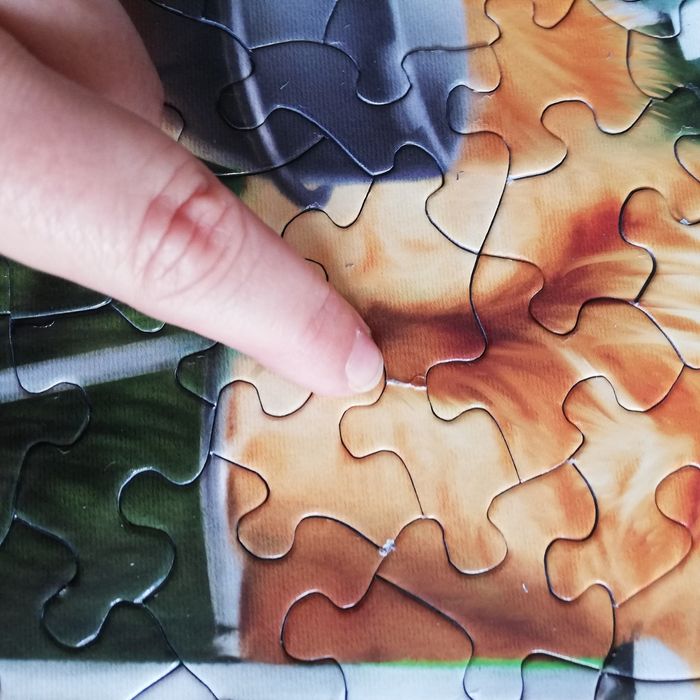 Puzzle 300 pieces XL. Sunsout. Dd1131 - photo numéro 10