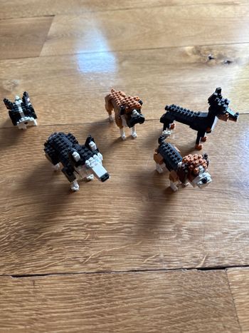 Nano block 5 chiens (mini lego)