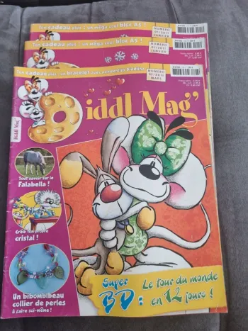 Lot magasines diddls