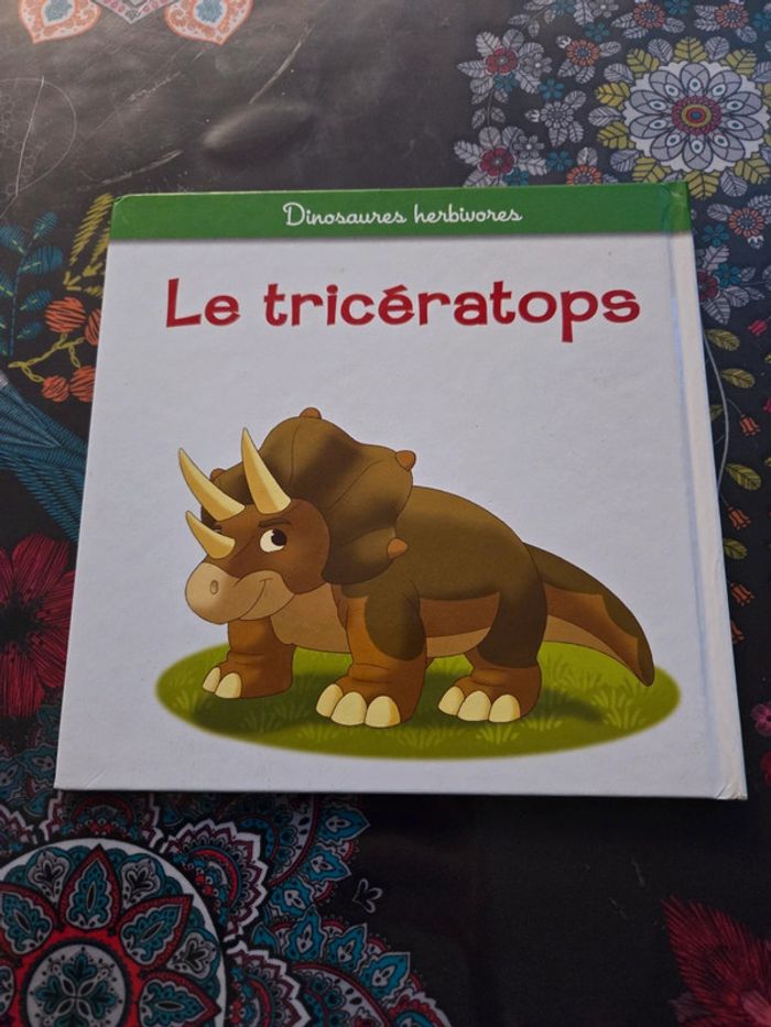 Le triceratops - photo numéro 2